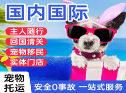 伊春林都机场托运国际宠物托运 【国